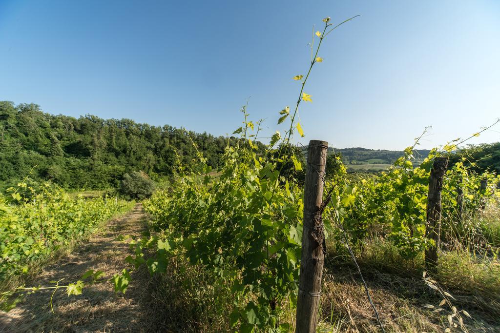 B&B Le Dimore Mezza Costa San Casciano in Val di Pesa Exterior foto